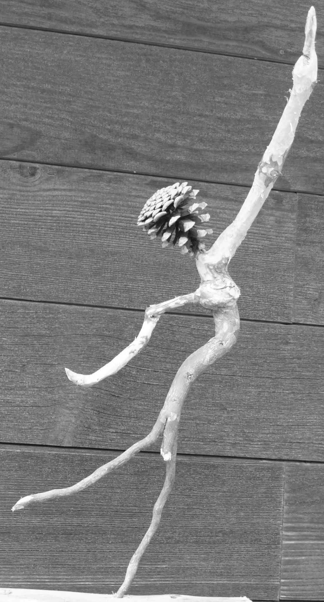 ballerino  o politico ?